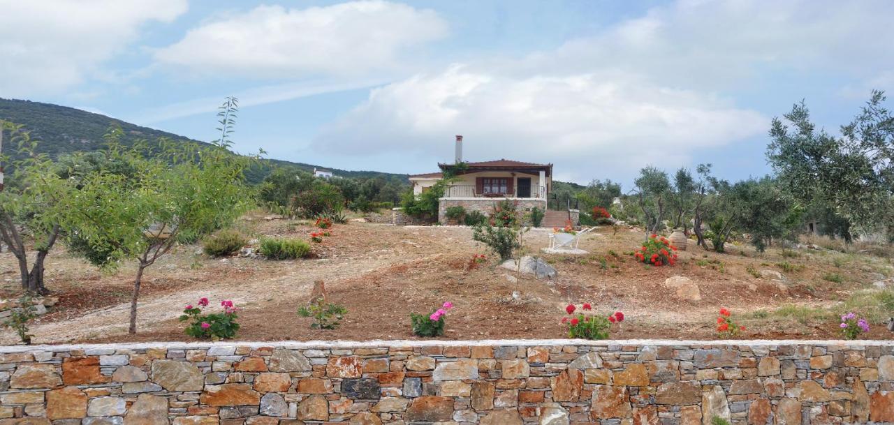 Villa Oceanis - Luxury Seaside Villa Mourtero Exterior photo